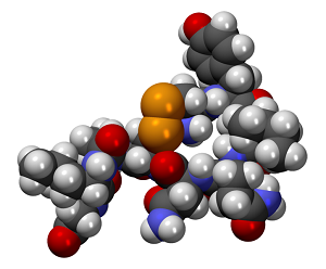 oxytocin