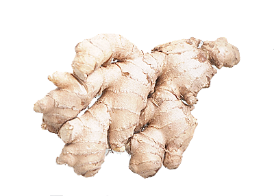 Ginger Root