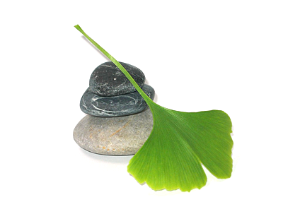 Ginkgo Biloba