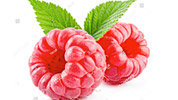 Red Raspberry